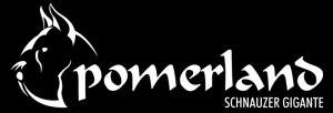 Logo Pomerland 2008