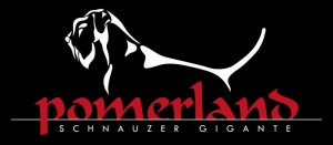 Logo Pomerland Fondo Negro